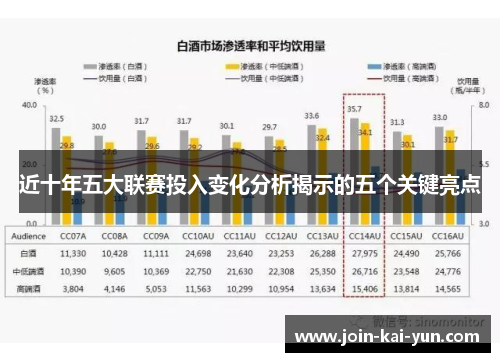 近十年五大联赛投入变化分析揭示的五个关键亮点